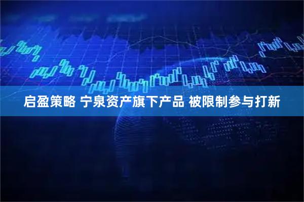 启盈策略 宁泉资产旗下产品 被限制参与打新