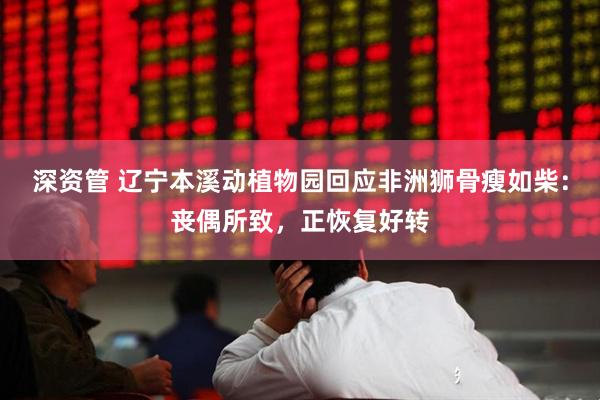 深资管 辽宁本溪动植物园回应非洲狮骨瘦如柴：丧偶所致，正恢复好转